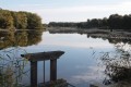 bonde etang brenne